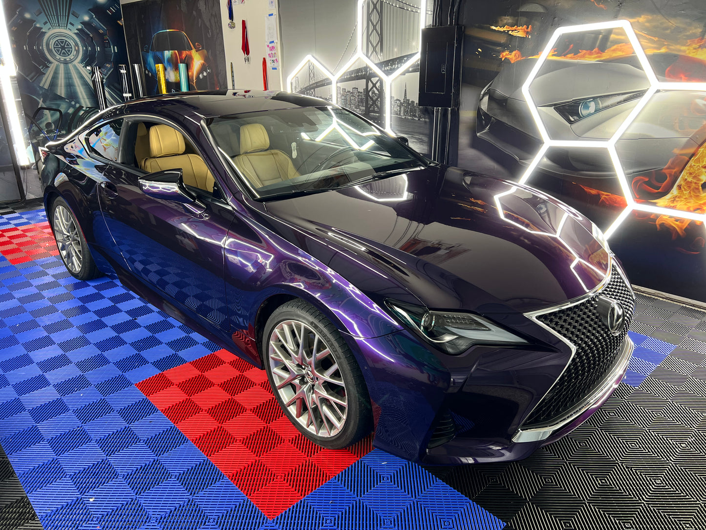 Midnight Purple