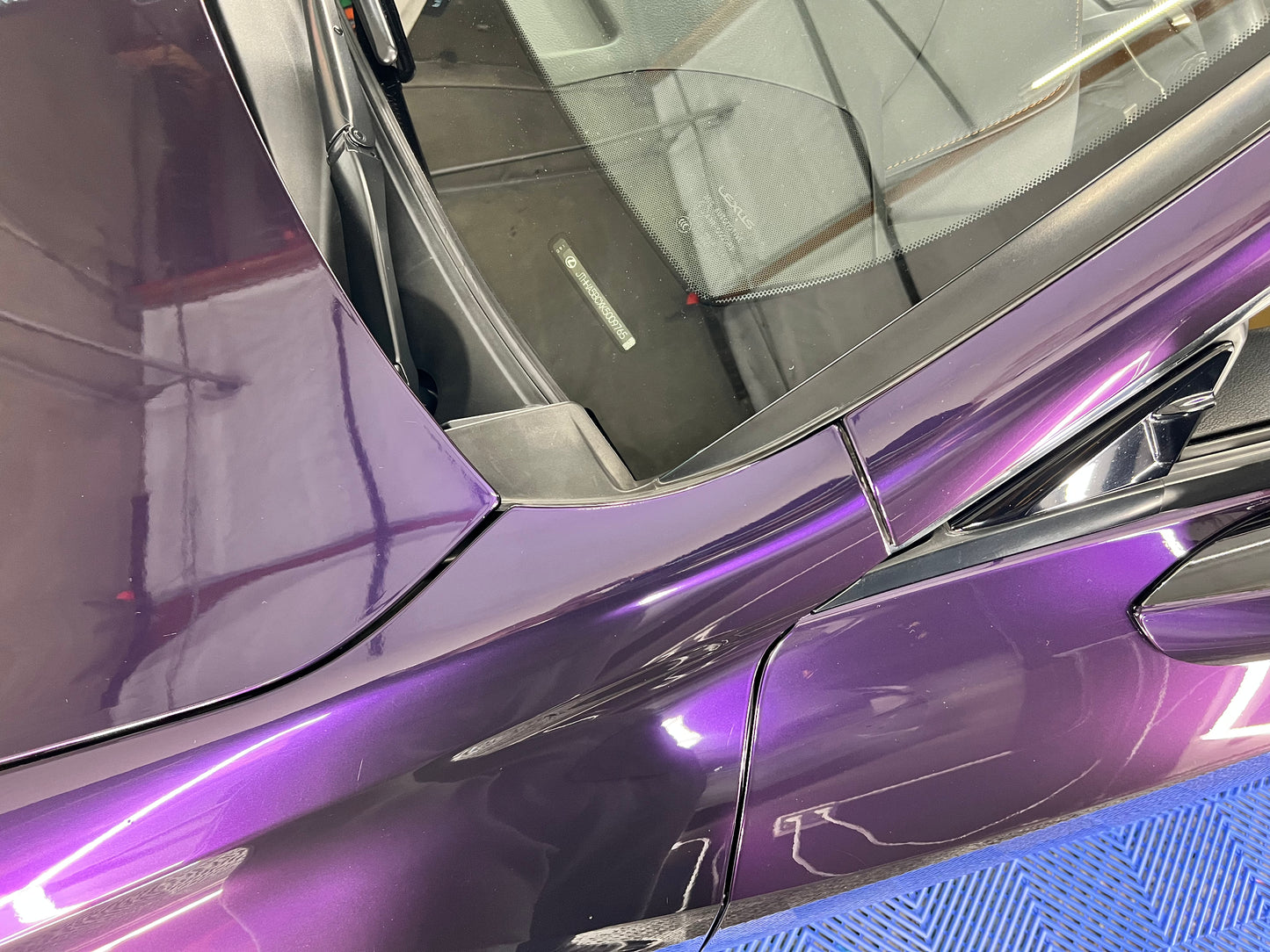 Midnight Purple