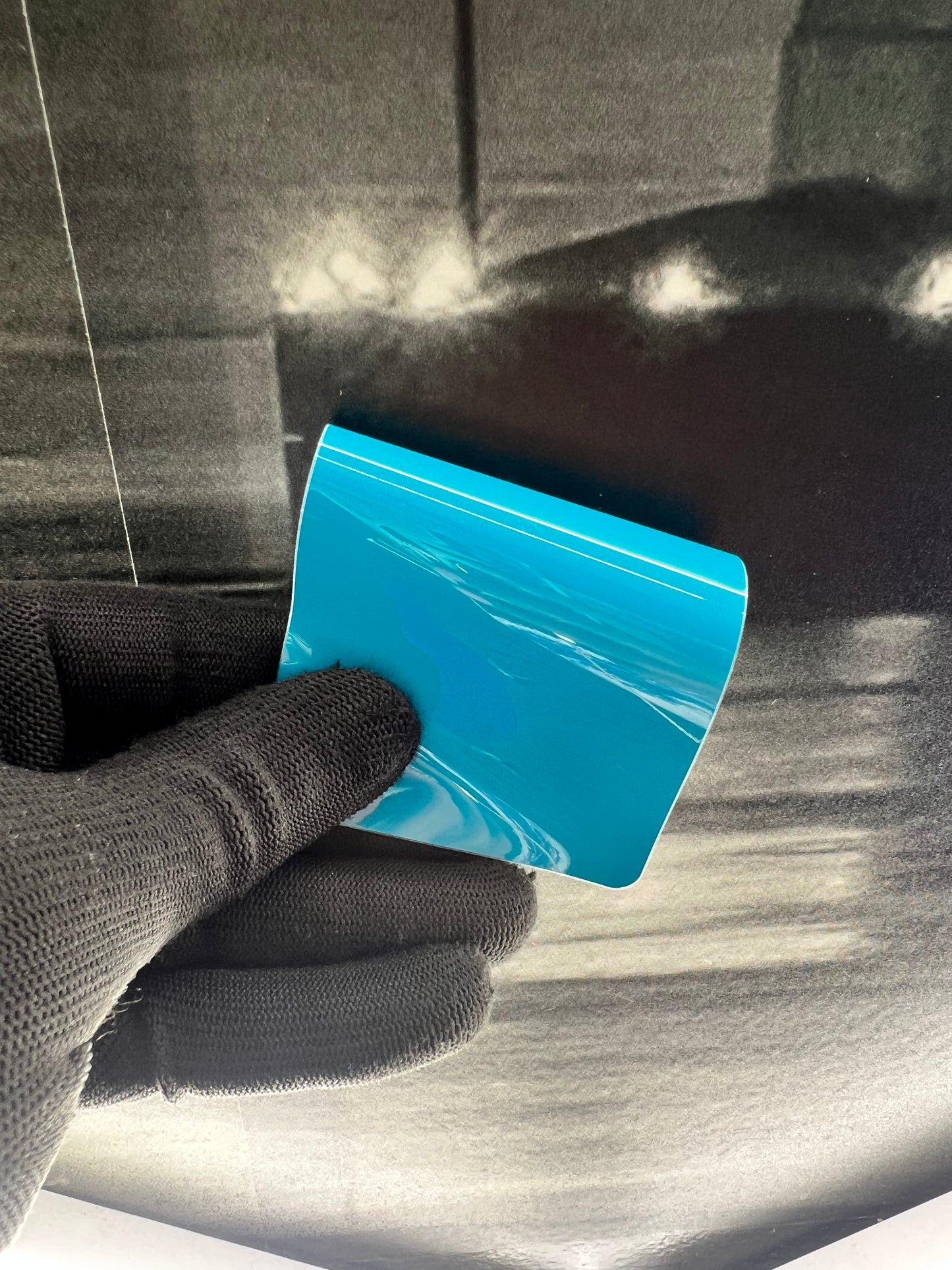 Miami Blue