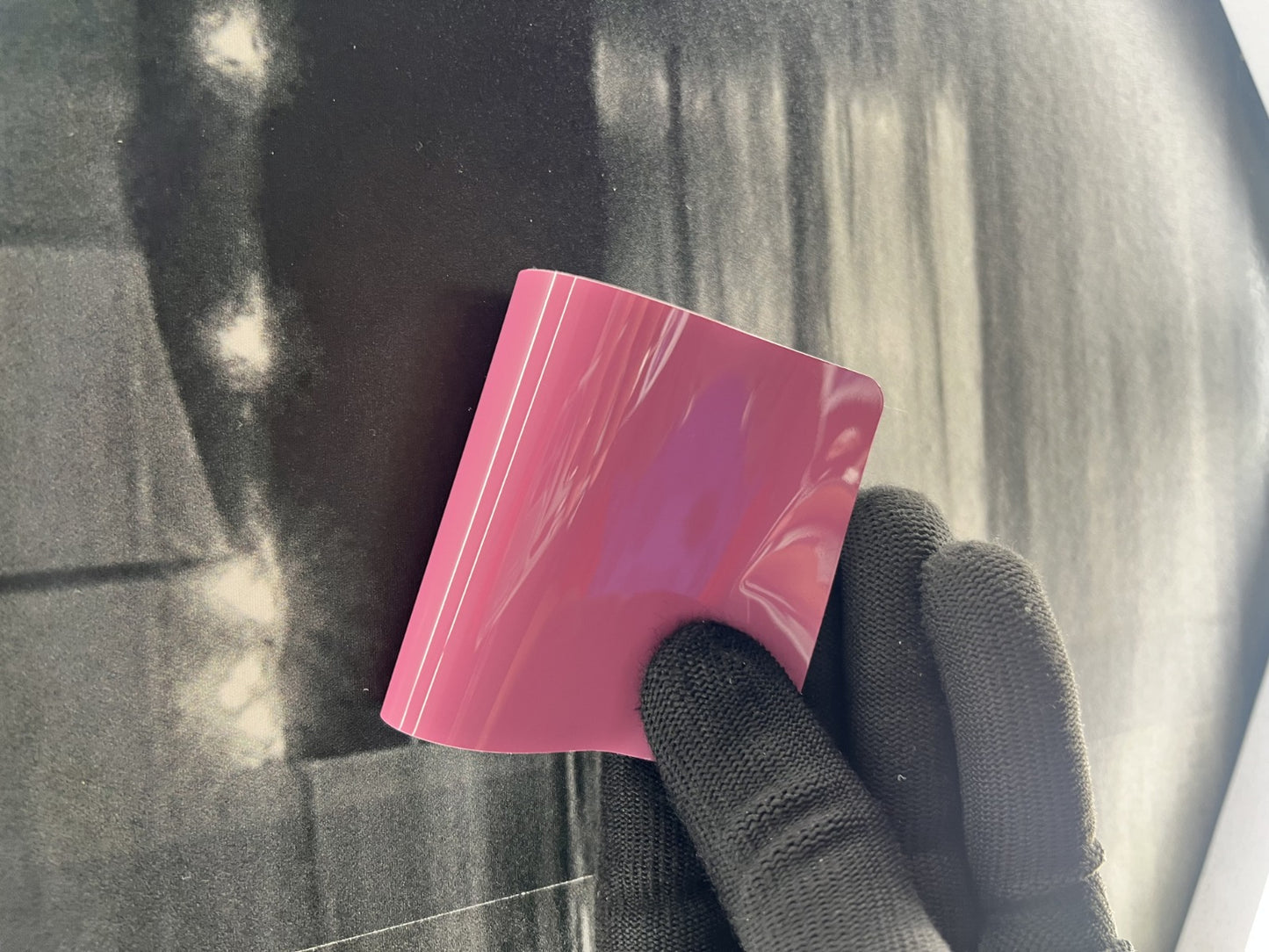 PET Tulip Pink