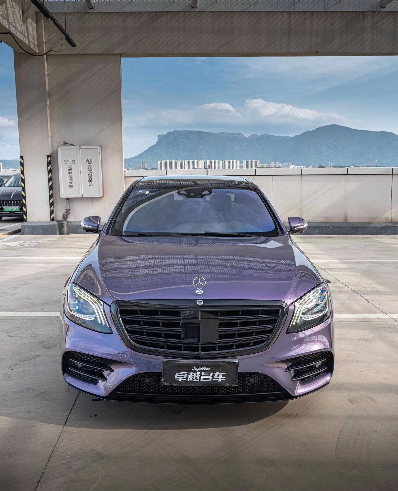 Grey Violet